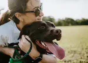 urgences canines et bien se préparer