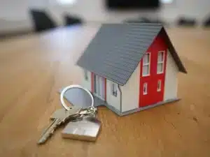 preparer sa maison ou son appartement pour l'arrivee d'un chiot