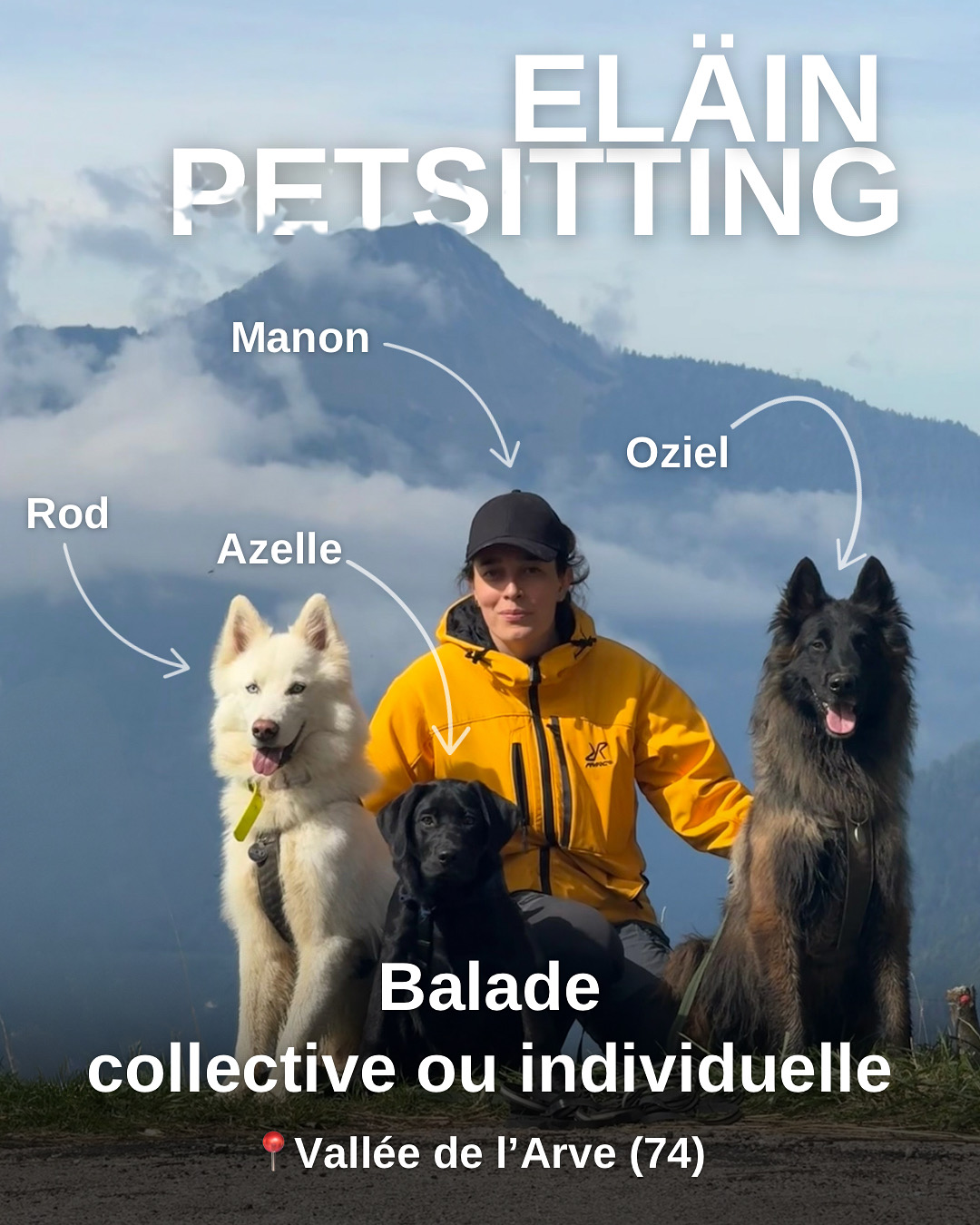 Image par défaut Eläin Petsitting