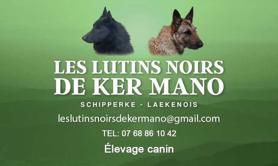 Image par défaut Des Lutins Noirs De Ker Mano