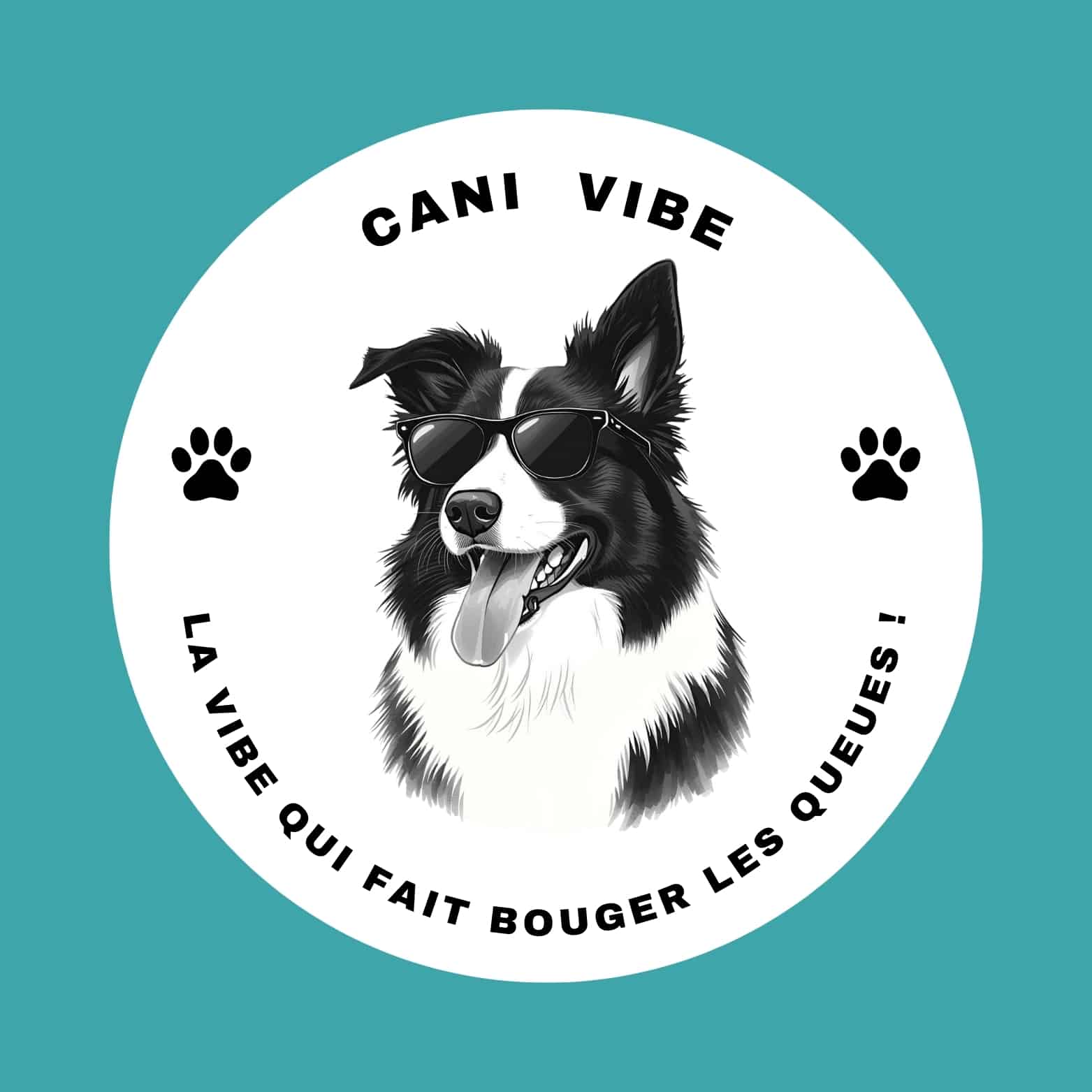 Image par défaut Cani Vibe