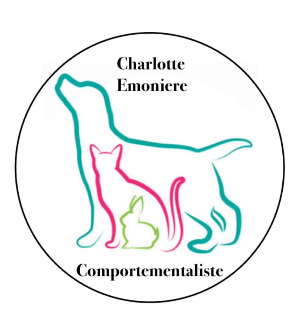 Image par défaut Charlotte Emoniere Comportementaliste canin, félin et lapin
