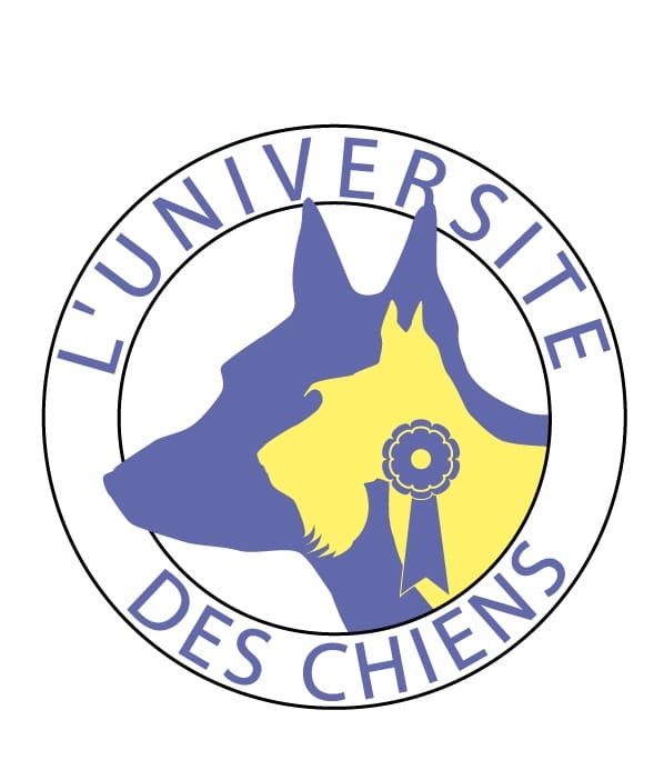 Image par défaut Université des chiens