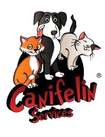 Image par défaut canifelin services