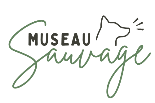 Image par défaut Museau Sauvage