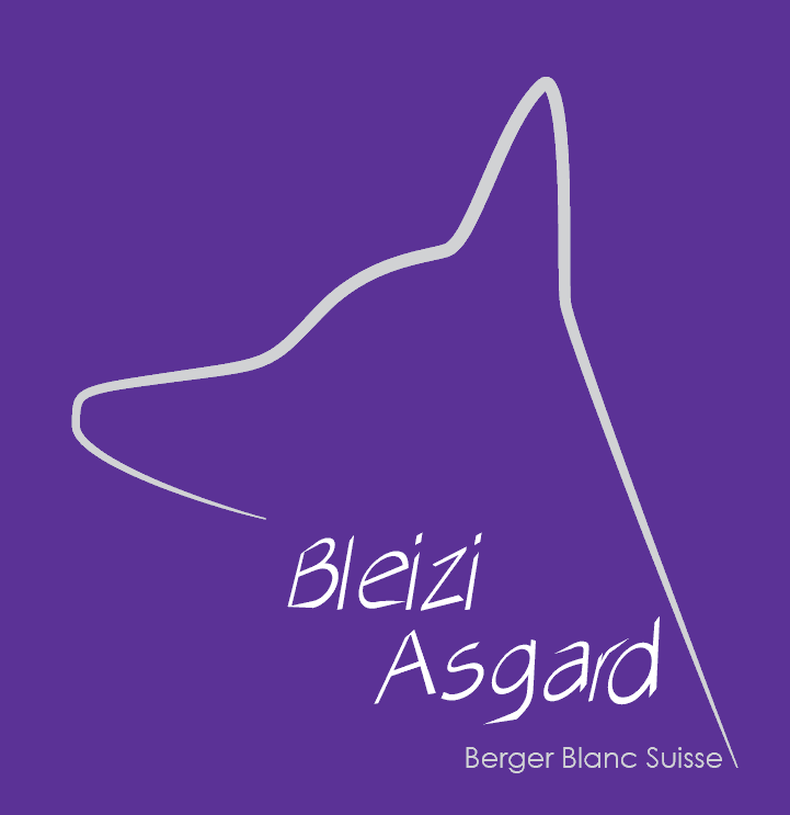 Image par défaut Bleizi Asgard